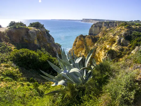 Plage Algarve Lagos Portugal — Photo