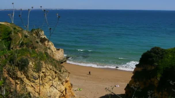 Spiaggia Dell Algarve Lagos Portogallo — Video Stock