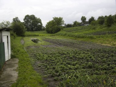 Ukrayna'da sel . Ekstrem hava.