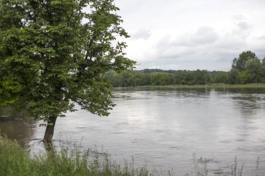 Ukrayna'da sel . Ekstrem hava.