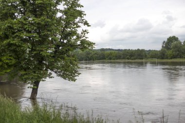Ukrayna'da sel . Ekstrem hava.