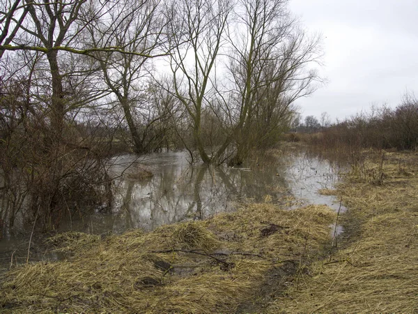 Inondations Ukraine Conditions Météorologiques Extrêmes — Photo