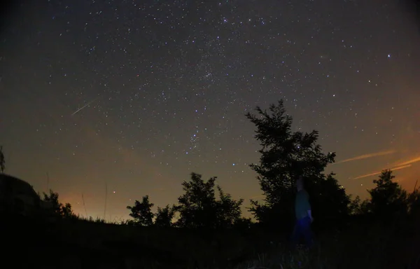 Meteoro Chuva Meteoros Perseid Estrelas Meteoros Céu Noturno — Fotografia de Stock