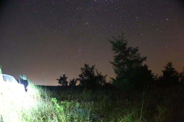 Météore Une Pluie Météores Perséides Ciel Nocturne Étoiles Météores — Photo