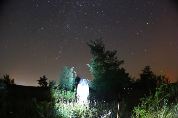 Météore Une Pluie Météores Perséides Ciel Nocturne Étoiles Météores — Photo