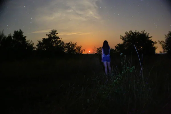 Meteor Perseid Meteor Shower Night Sky Stars Meteors — Stock Photo, Image