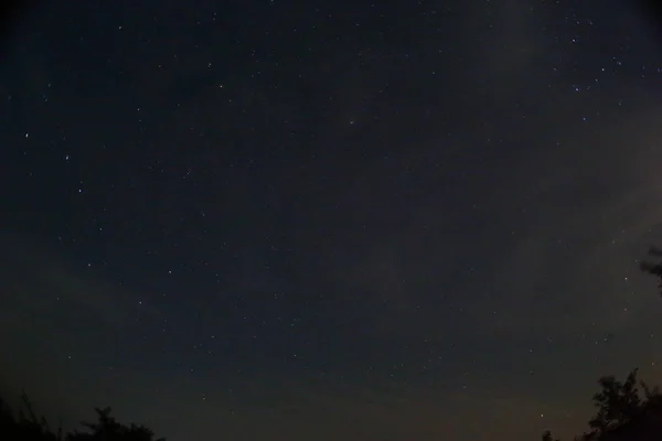 Météore Une Pluie Météores Perséides Ciel Nocturne Étoiles Météores — Photo