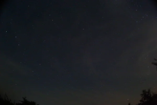 Météore Une Pluie Météores Perséides Ciel Nocturne Étoiles Météores — Photo