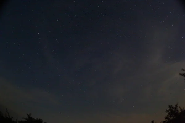 Météore Une Pluie Météores Perséides Ciel Nocturne Étoiles Météores — Photo