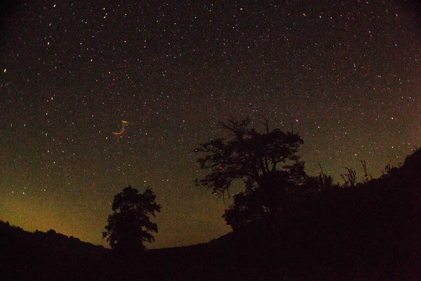 Meteor Perseiden Meteorschauer Sterne Und Meteore Nachthimmel — Stockfoto