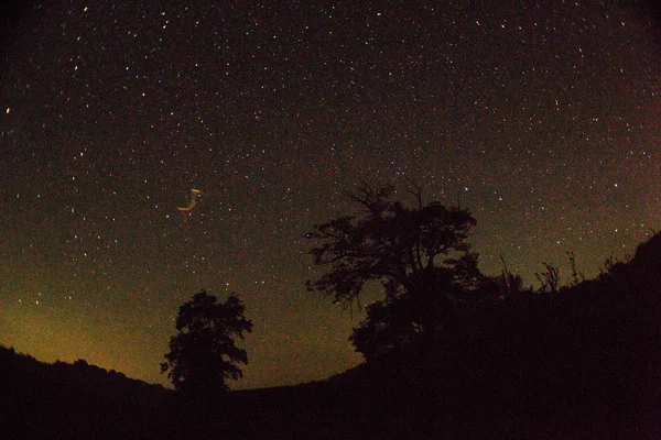 Meteor. Perseid meteor yağmuru. Gece gökyüzü yıldızları ve meteorlar
