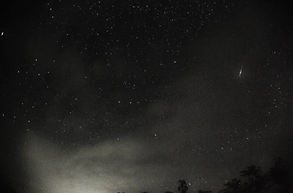 Météore Une Pluie Météores Perséides Ciel Nocturne Étoiles Météores — Photo