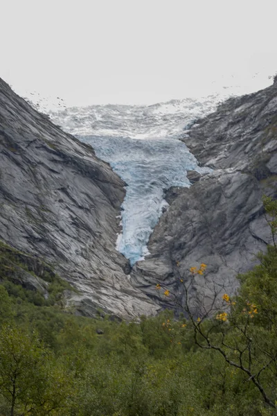 Parco Nazionale Dello Jutunheimen Fiordi Bergen Foresta Bergen Norvegia 2018 — Foto Stock