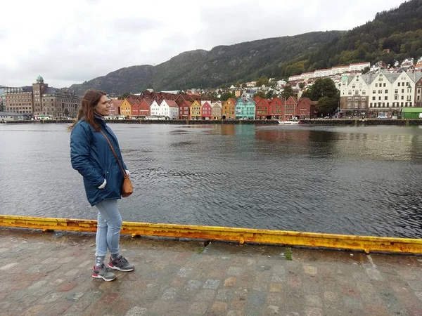 Jutunheimen Milli Parkı. Bergen Fiyortları ve Ormanı. Bergen, Norveç - 11.09.2018