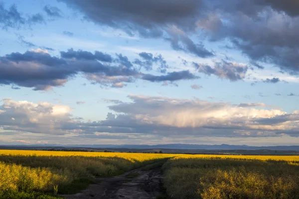 Gökte gökkuşağı ve peole 