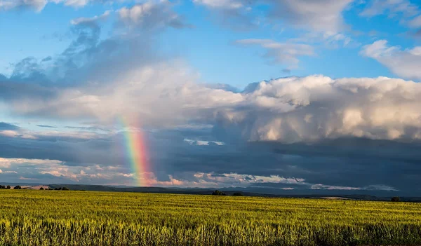 Arcobaleno Nel Cielo Nella Spiga Foto Stock Royalty Free