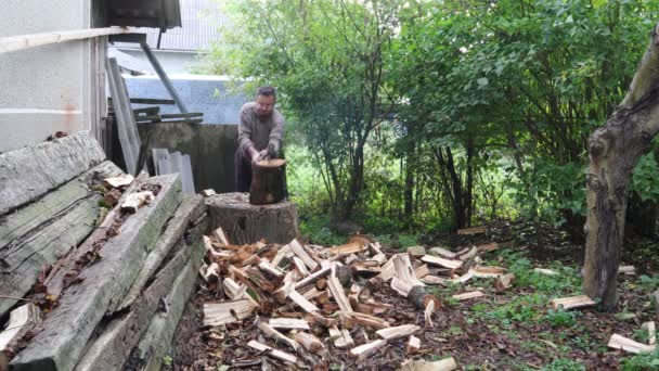 Mann Hackt Holz Für Den Winter Mann Hackt Holz Mit — Stockvideo