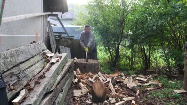男は冬のために木を切る 男は古い斧で森を切る — ストック動画