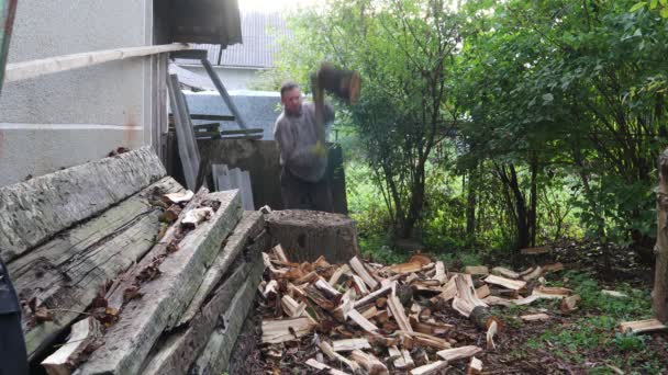 Manusia Memotong Kayu Untuk Musim Dingin Manusia Memotong Hutan Dengan — Stok Video