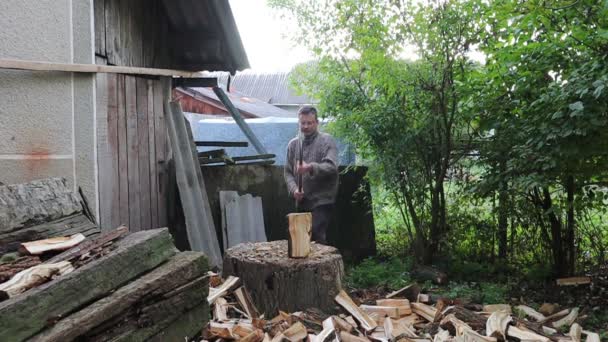 男は冬のために木を切る 男は古い斧で森を切る — ストック動画