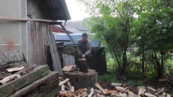 Kış Için Odun Kesen Adam Eski Baltayla Odun Kesen Adam — Stok video