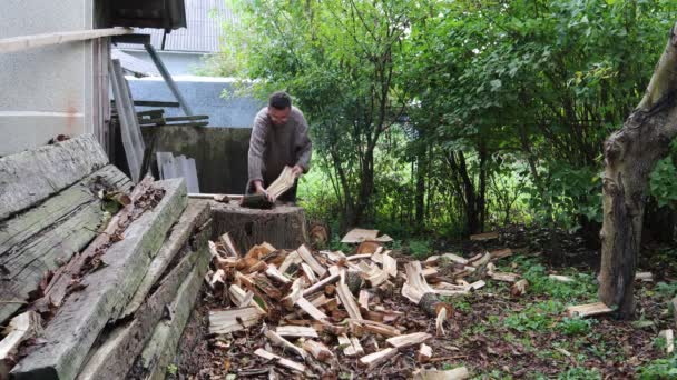 Mann Hackt Holz Für Den Winter Mann Hackt Holz Mit — Stockvideo