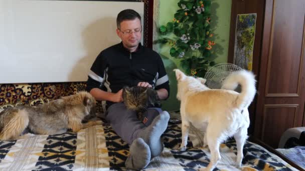 人类与宠物 动物之间的友谊 — 图库视频影像