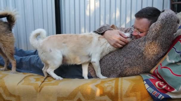 Amistad Entre Humanos Mascotas Animales — Vídeos de Stock