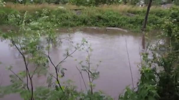 ウクライナ西部の洪水 — ストック動画