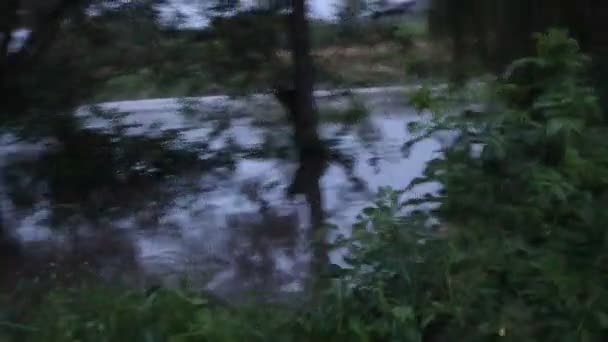 Alluvione Nell Ovest Dell Ucraina — Video Stock