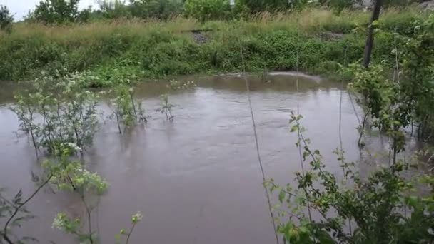 ウクライナ西部の洪水 — ストック動画
