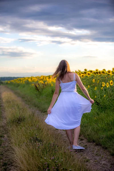 Beautiful Girl Field Sonflowers — Stock Photo, Image