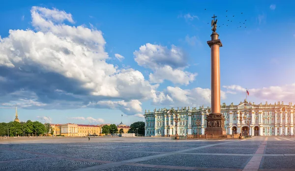 Alexandrijská Sloupec Andělem Poblíž Zimní Palác Náměstí Palác Petrohradu Bílý — Stock fotografie