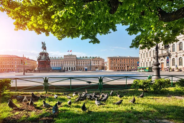 Monument Van Nikolaj Eerste Isaac Plein Petersburg Duiven Het Gras — Stockfoto