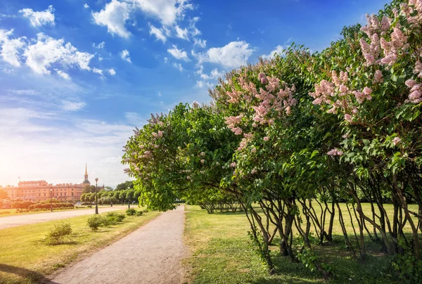 Campo Marsovo San Petersburgo Con Vistas Castillo Mikhailovsky Los Arbustos — Foto de Stock