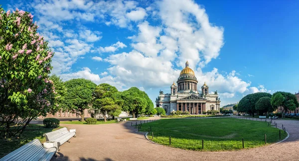 夏の晴れた朝には サンクトペテルブルクの聖イサアク大聖堂近くの公園でベンチにライラックの茂み — ストック写真