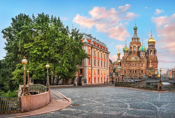 Morgon Vid Domkyrkan Uppståndelsekyrkan Sankt Petersburg Och Rosa Moln — Stockfoto