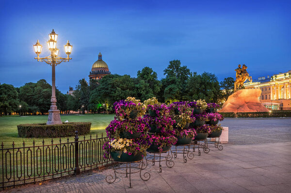 Flowers and a lantern on the Senate Square of St. Petersburg with the monument to Peter the Great and St. Isaac's Cathedral at the distance on a summer night