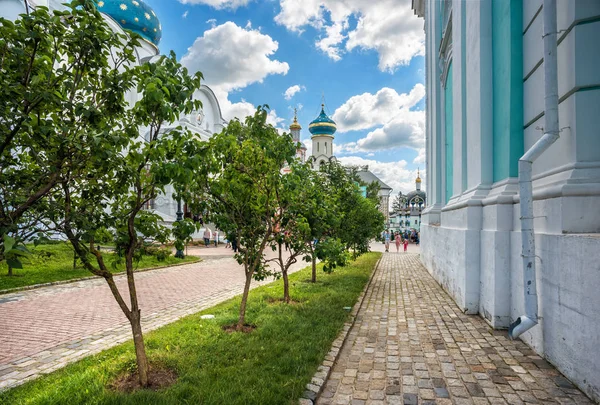 假设大教堂在亚历山大涅夫斯基在修道院沙德还在一个夏天晴朗的天和丁香灌木 — 图库照片