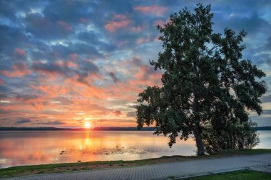 Valday. Lake Valdai erken yaz sabah güzel bir pembe gökyüzü ve sahilde bir ağaç ile