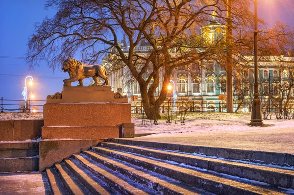 Socha Lva Nábřeží Řeky Něvy Petrohradě Ermitáž Prostřednictvím Poboček Zimní — Stock fotografie