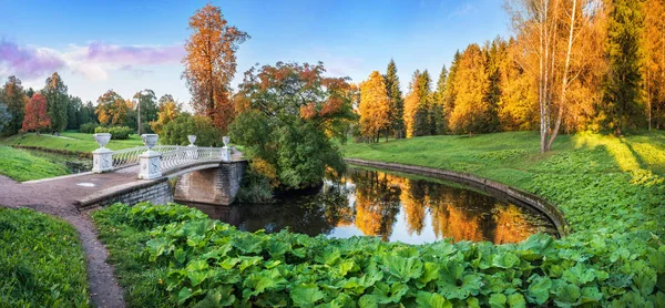 夕日の光線で公園の水の反射とパヴロフスクと黄色の秋の木々 にスラブヤンカ川に架かる鋳鉄橋 — ストック写真