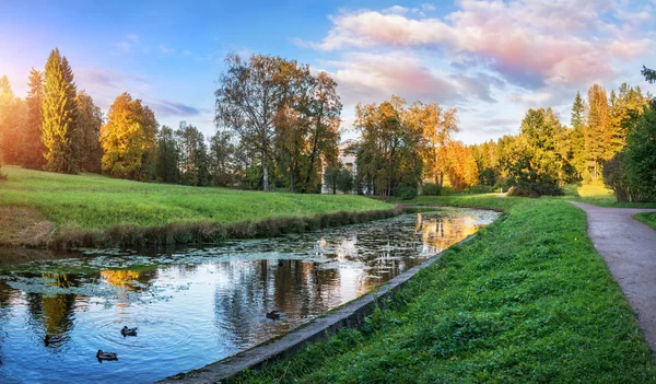 Paisagem Rio Slavyanka Pavlovsk Com Patos Árvores Outono Amarelas Parque — Fotografia de Stock