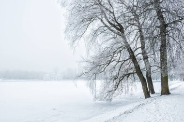 Pavilion Grotto Tsarskoye Selo karlı bir sis ve siyah ağaçlar büyük gölün kıyısında