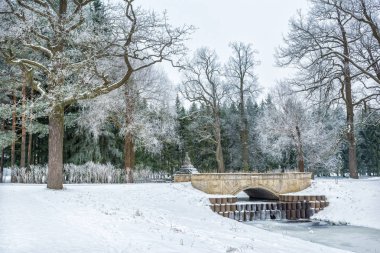St. Selo ve köprünün diğer tarafında bir kış gününde creek karda ağaçlarda