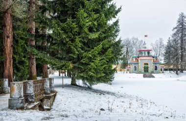 Chinese arbor in Tsarskoye Selo and green spruce in a winter snowy day clipart