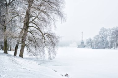 Chesme sütun ve hamam Tsarskoye Selo gölün kıyısında görünümü ile kış kar fırtınası ve ağaçlar