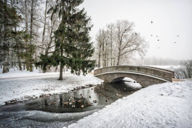 Bir kış gününde Nehri Köprüsü Tsarskoye Selo altında buz delik ördek yüzmek