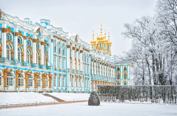 Kostel Vzkříšení Catherine Palace Carskoje Selo Zimní Zatažené Den — Stock fotografie