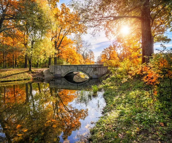 Осенний пейзаж с мостом — стоковое фото
